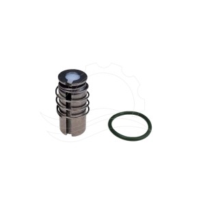 Reparatursatz für Jakša XD220N Magnetventil 0-120bar PTFE (298583)