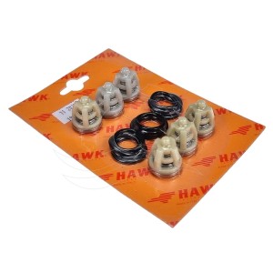 Hawk NMT CW Pumpenventile (1.905-543.0)