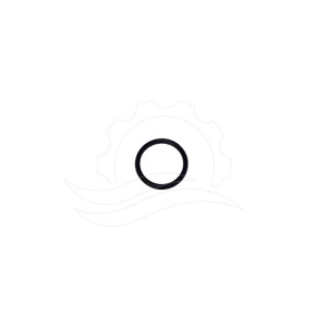 Cat 3CP NBR Pumpenventil-O-Ring (17547)