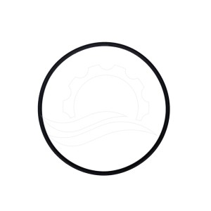 Dosatron D3RE2 Dosierdeckel-O-Ring (JDI001)