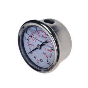 Glycerin-Manometer 0-160 bar 50 mm (Anschluss hinten)