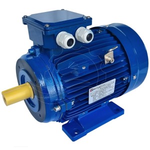 Druckpumpenmotor 5,5 kW 400 V Wechselstrom
