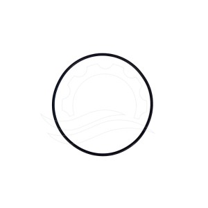 Hawk NMT CW/HT Pumpen-Kurbelgehäuse-O-Ring (25)