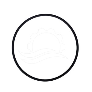 Mixrite-Spenderdeckel-O-Ring (43)